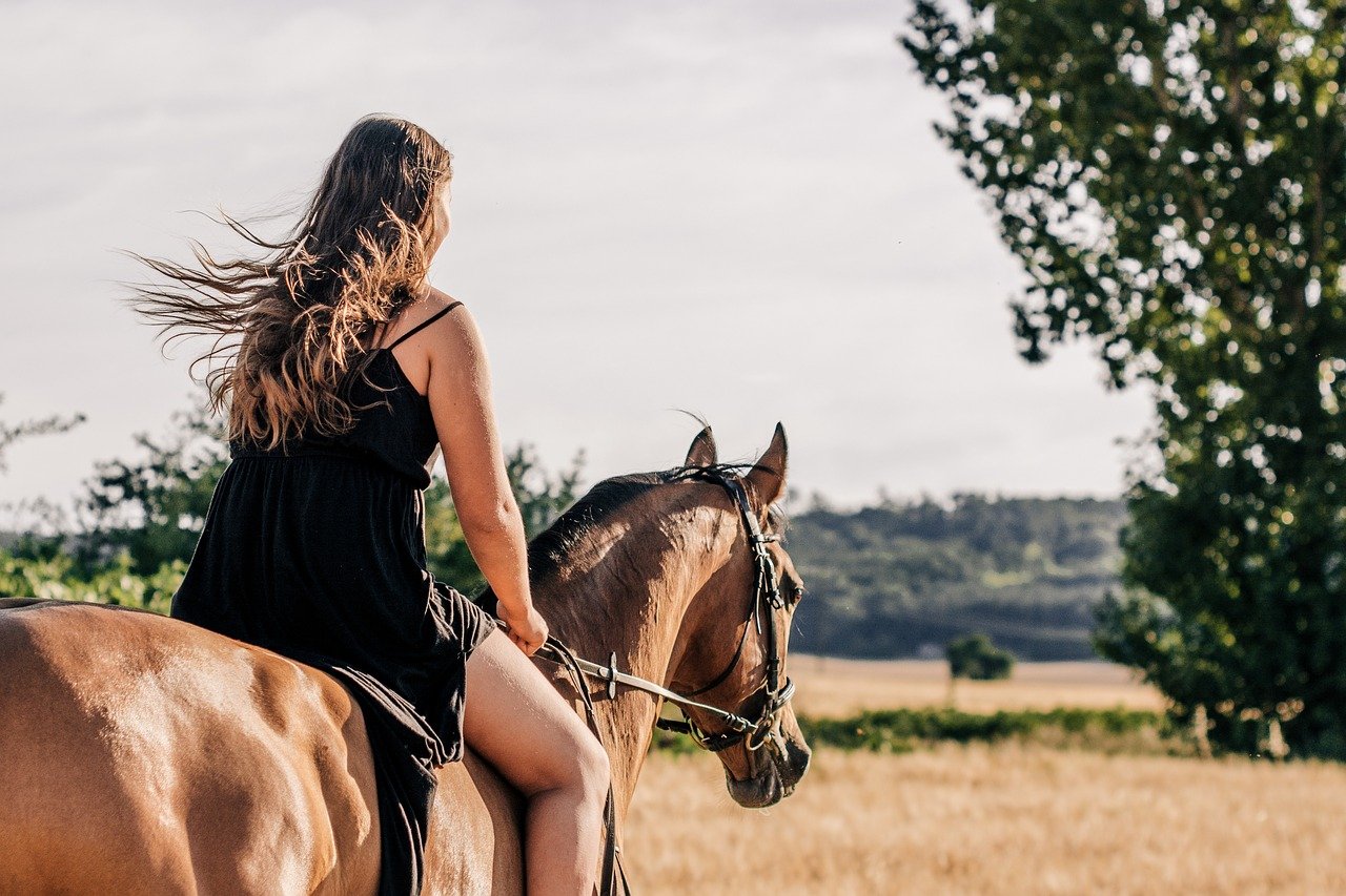 Riding &amp; Pony Trekking