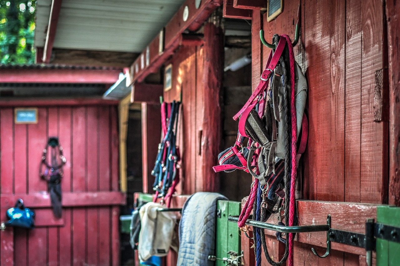 Middleham Stables Visits